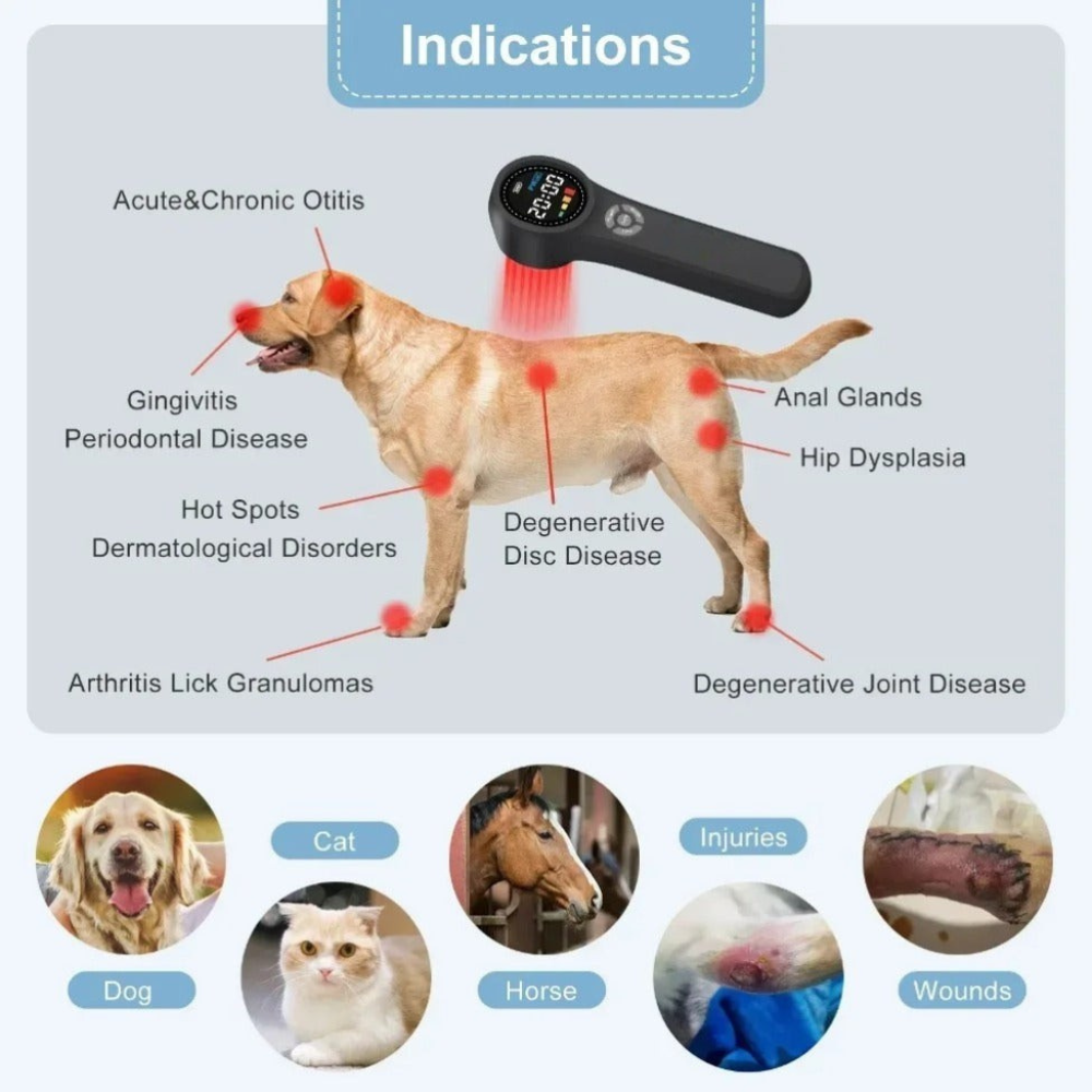 Premium LED Light Device Handheld 808nm 650nm Rechargeable Light Device Adjustable Timer Portable Light Tool with Goggles for Home Daily Use