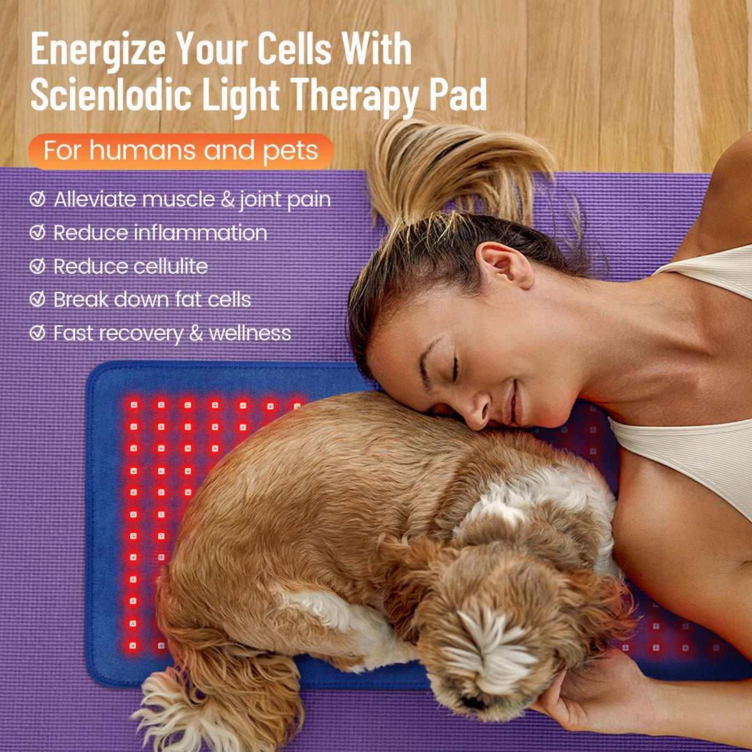 Premium LED Light Therapy Belt 660nm 850nm Wearable Heating Pad 360 LEDs Adjustable Wrap Portable Light Device for Home Gym Daily Use Comfort Fit