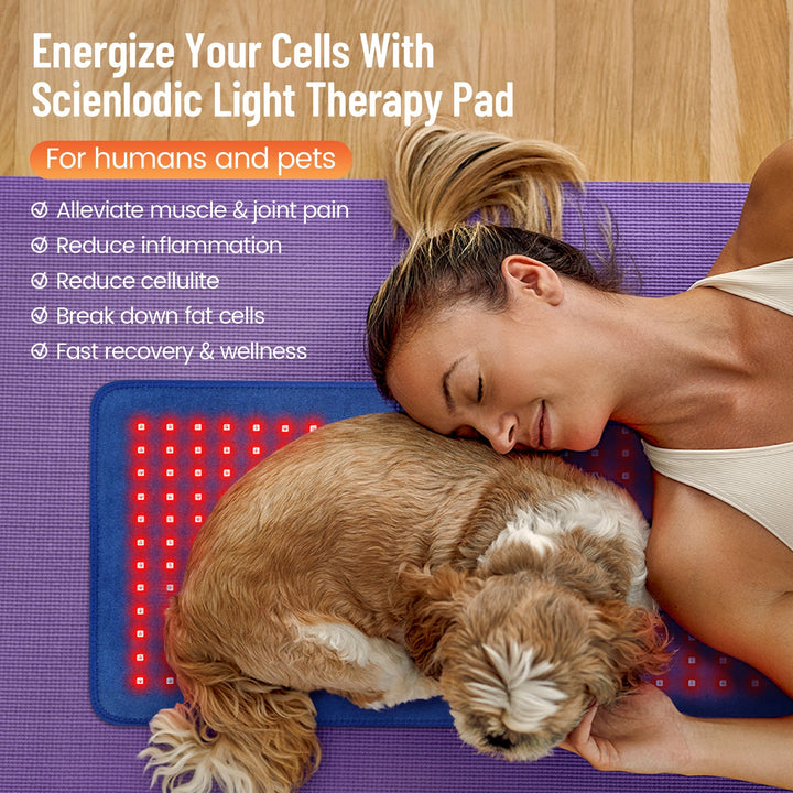 Premium LED Light Therapy Belt 660nm 850nm Wearable Heating Pad 360 LEDs Adjustable Wrap Portable Light Device for Home Gym Daily Use Comfort Fit