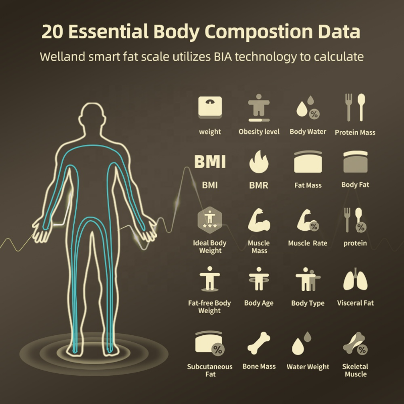 Premium Smart Body Fat Scale Digital Body Composition Scale Bluetooth BMI Tracker 180kg High Precision App Sync Rechargeable or AAA Home Daily Use
