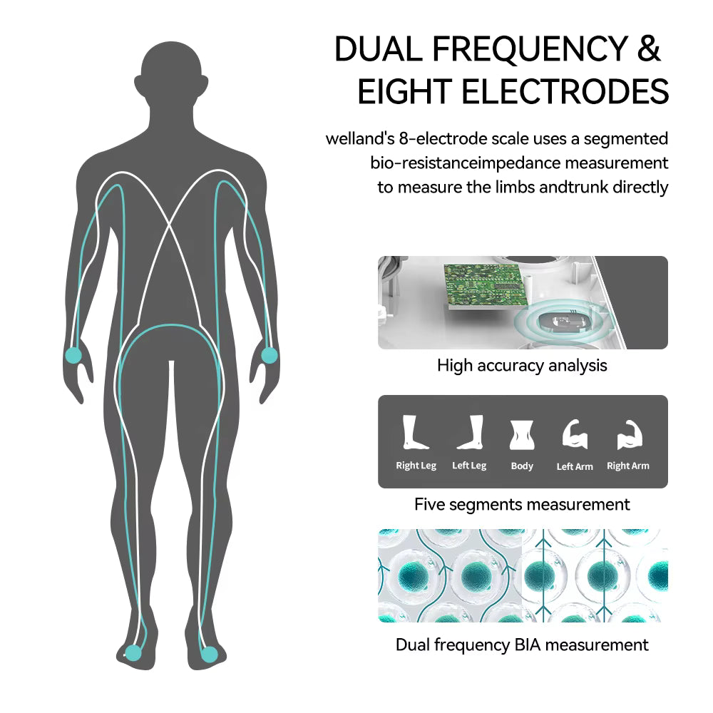 Premium Smart Body Fat Scale Digital Body Composition Scale Bluetooth BMI Tracker 180kg High Precision App Sync Rechargeable or AAA Home Daily Use
